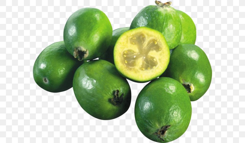 Feijoa Key Lime Persian Lime Lemon, PNG, 600x479px, Feijoa, Berry, Calamondin, Citrus, Cranberry Download Free