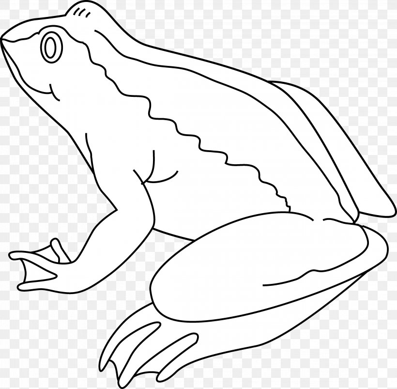 Frog Amphibian Black And White Drawing Clip Art, PNG, 4652x4561px, Frog, American Bullfrog, Amphibian, Area, Art Download Free