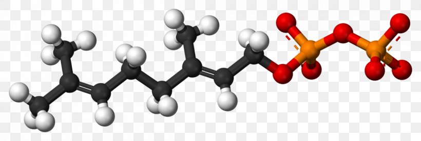 Geraniol Monoterpene Molecule Editor Rose Oil, PNG, 1200x404px, Geraniol, Acetic Acid, Ballandstick Model, Chemical Compound, Chemistry Download Free