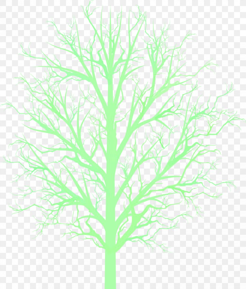 Clip Art Vector Graphics Image Stock.xchng, PNG, 1650x1932px, Plants, Botany, Branch, Com, Grass Download Free