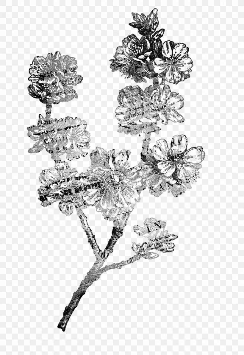 Flower, PNG, 880x1280px, Flower, Black And White, Body Jewelry, Branch, Brooch Download Free