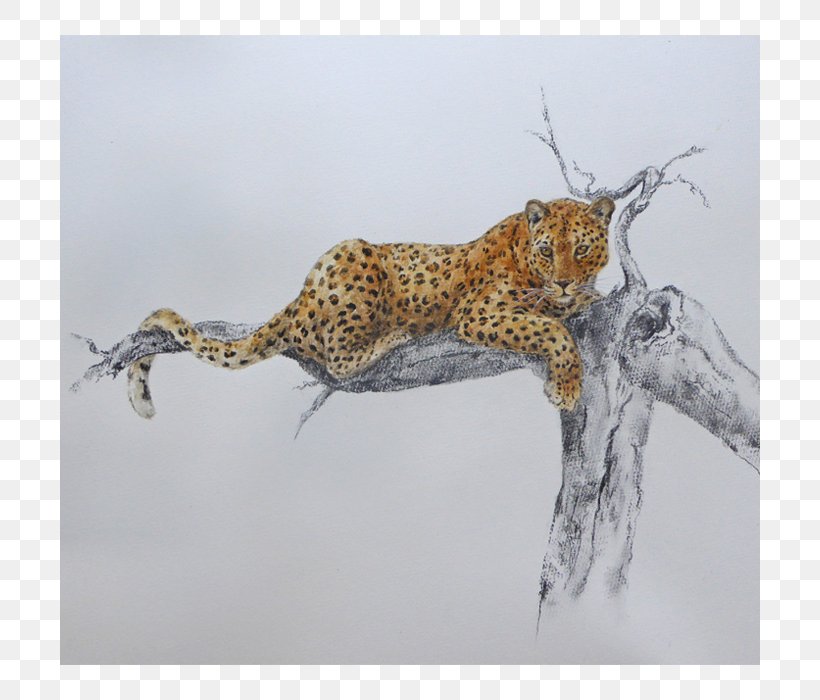 Leopard Cheetah Cat Fauna Terrestrial Animal, PNG, 700x700px, Leopard, Animal, Artist, Bbc, Big Cat Download Free
