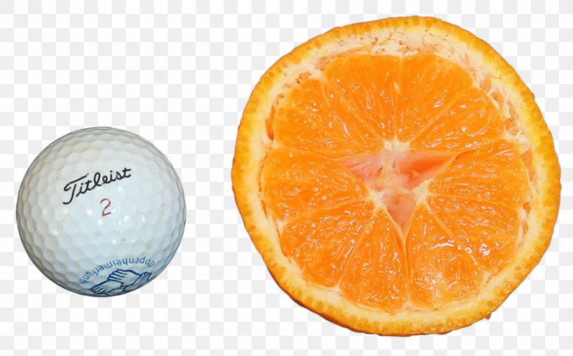 Mandarin Orange Tangelo Clementine Tangerine Grapefruit, PNG, 900x559px, Mandarin Orange, Citric Acid, Citrus, Clementine, Cultivar Download Free