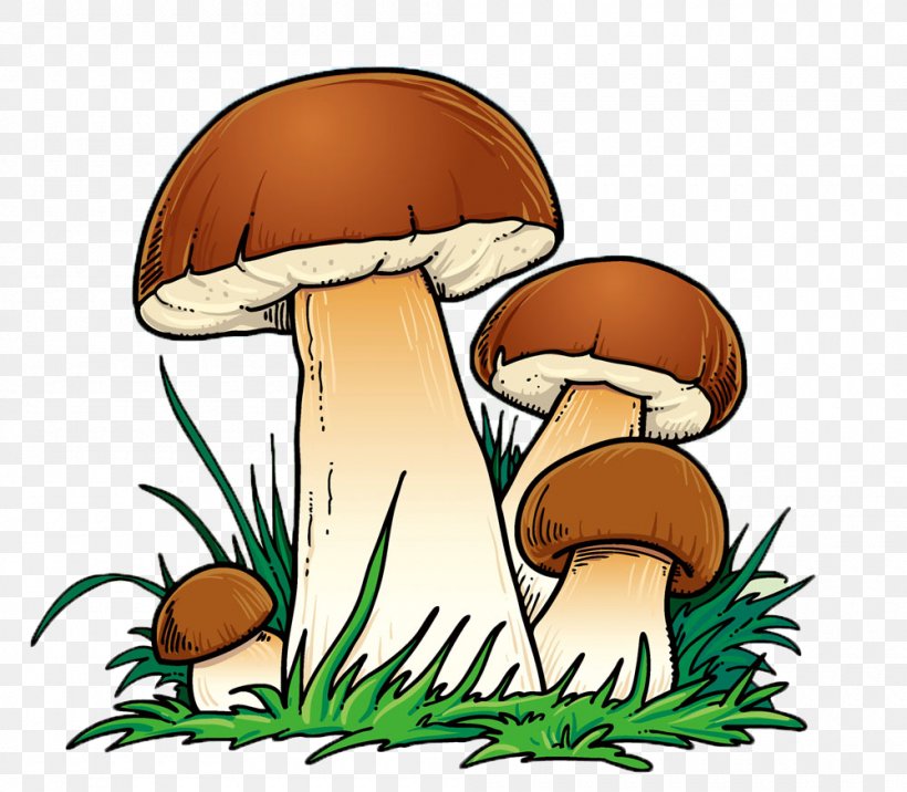 Mushroom Cartoon, PNG, 1000x874px, Mushroom, Art, Cartoon, Edible Mushroom, Enokitake Download Free