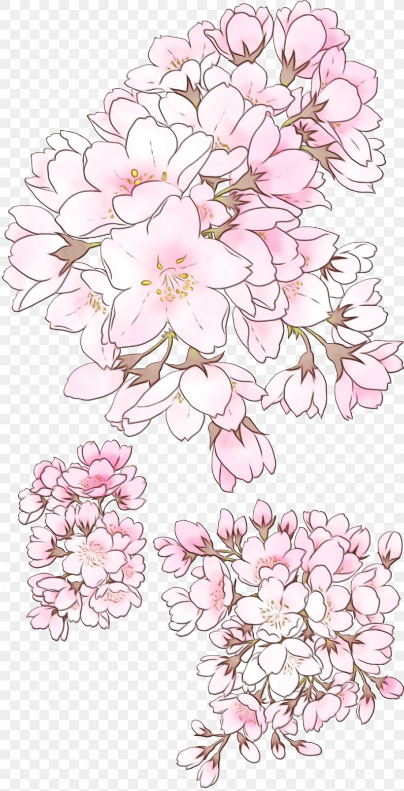 Cherry Blossom Flower, PNG, 928x1816px, Watercolor, Blossom, Bouquet, Branch, Cherry Blossom Download Free