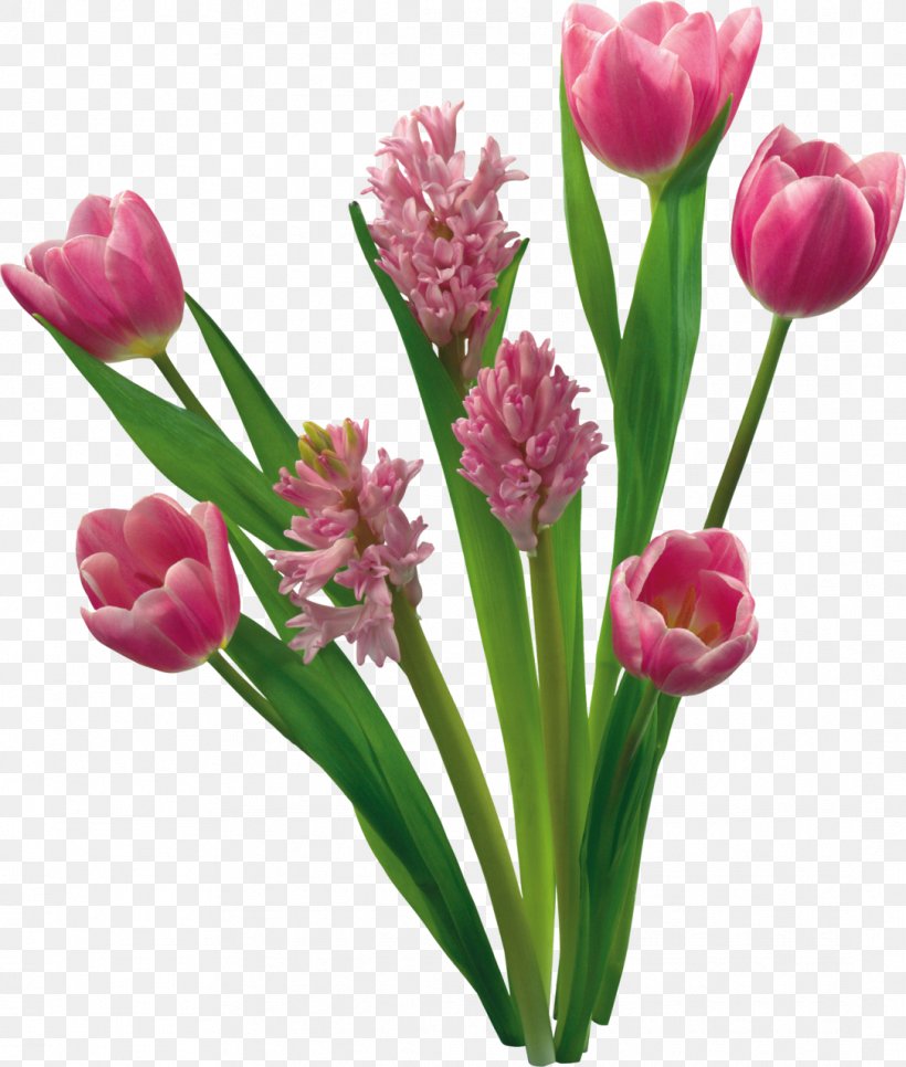 Flower Tulip Garden Roses Clip Art, PNG, 1086x1280px, Flower, Bud, Color, Cut Flowers, Flower Bouquet Download Free