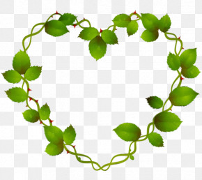 Ivy PNG