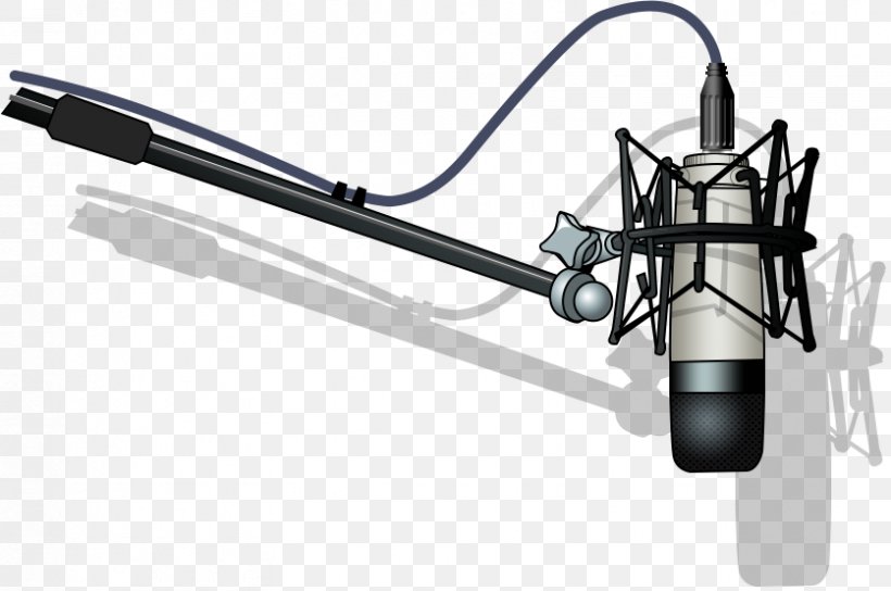 Microphone Radio Clip Art, PNG, 836x555px, Microphone, Automotive Exterior, Clipboard, Database, Film Producer Download Free