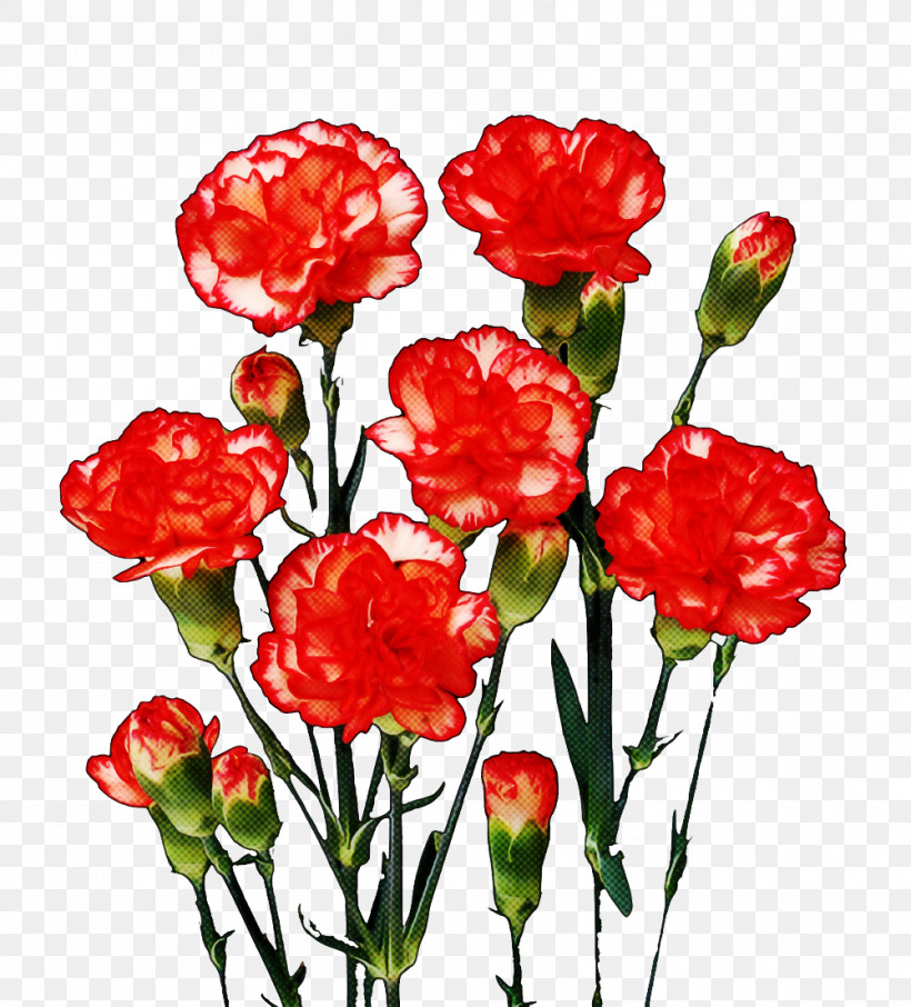 Artificial Flower, PNG, 1000x1105px, Flower, Artificial Flower, Carnation, Coquelicot, Corn Poppy Download Free