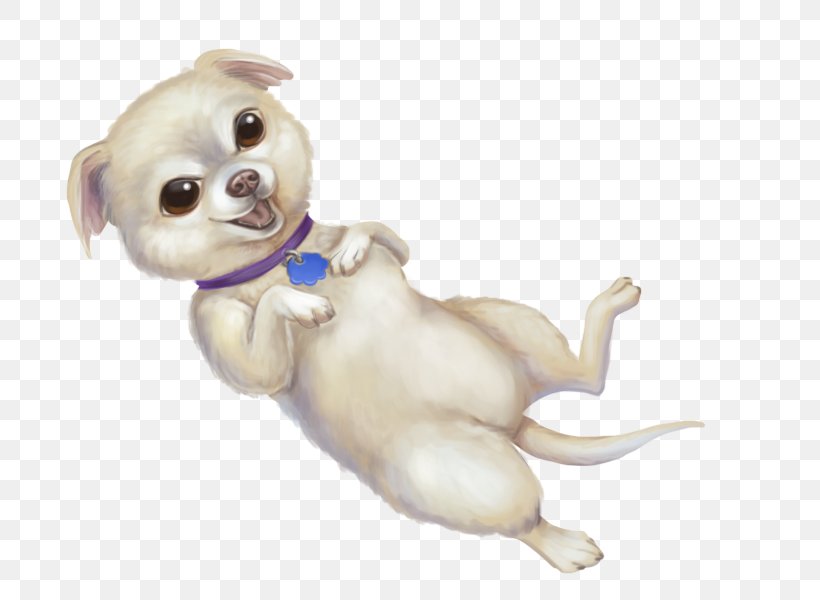 Chihuahua English Mastiff Tibetan Mastiff Puppy Dog Breed, PNG, 800x600px, Chihuahua, Canidae, Carnivora, Carnivoran, Companion Dog Download Free