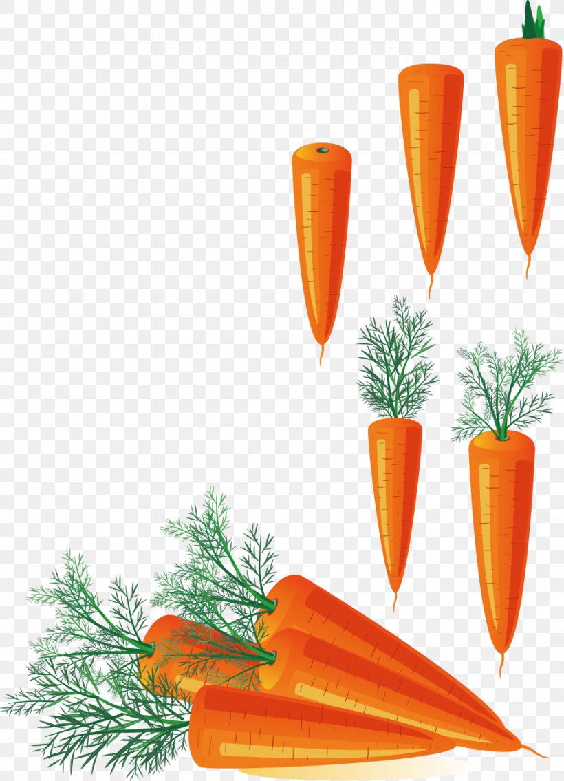 Carrot Stock Photography Clip Art, PNG, 921x1275px, Carrot, Food, Fruit, Orange, Photography Download Free