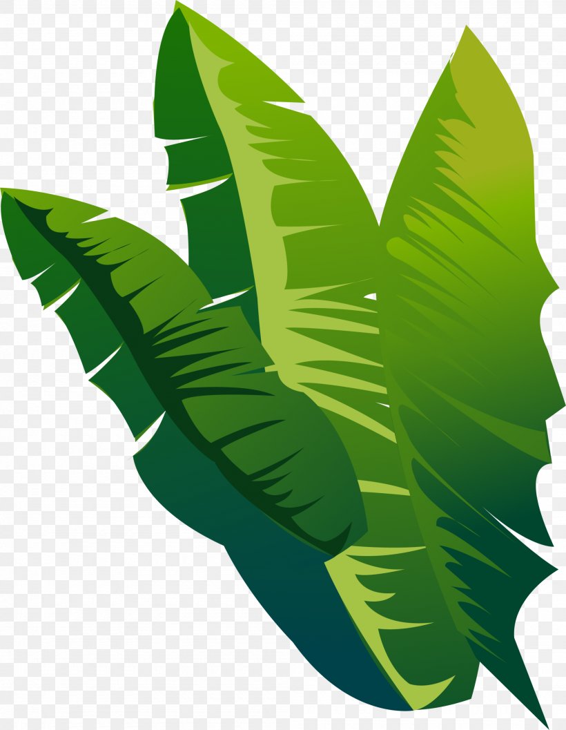 Download, PNG, 2000x2580px, Green, Banana Leaf, Grass, Leaf, Plant Download Free