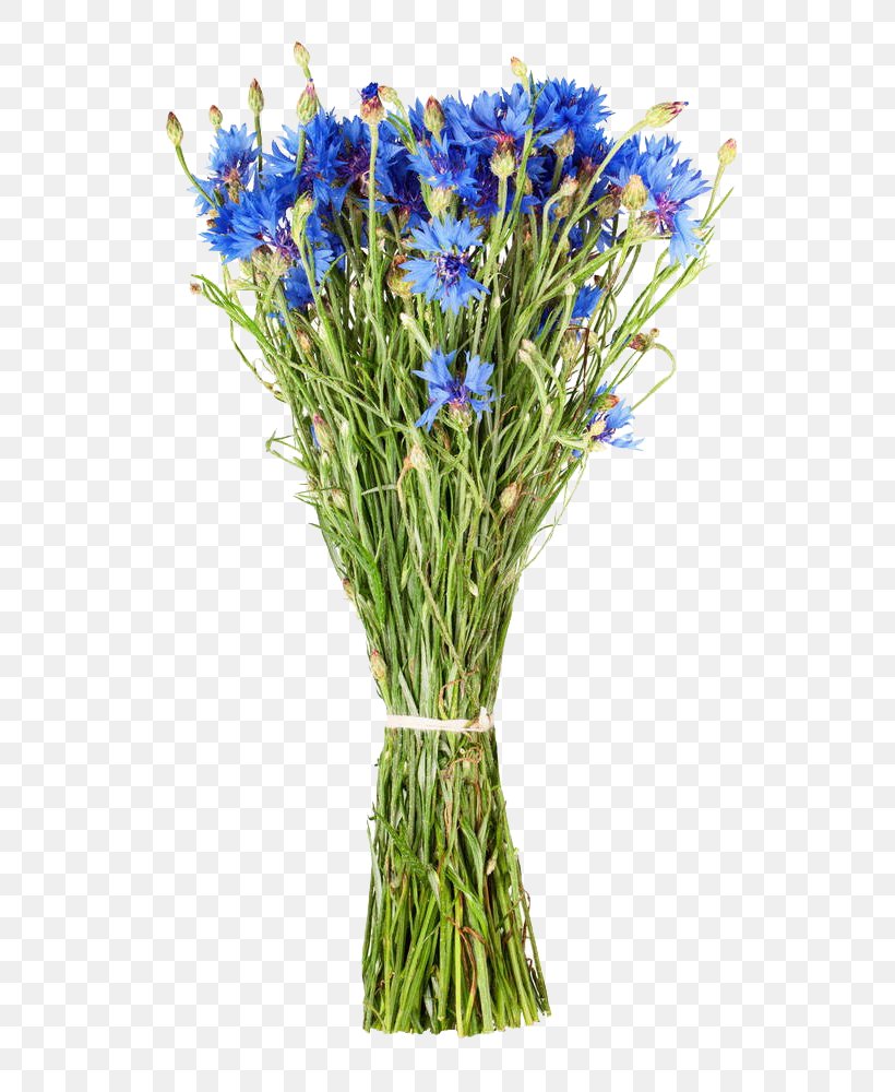 Floral Design Cornflower Flower Bouquet, PNG, 653x1000px, Floral Design, Artificial Flower, Blue, Cornflower, Cut Flowers Download Free