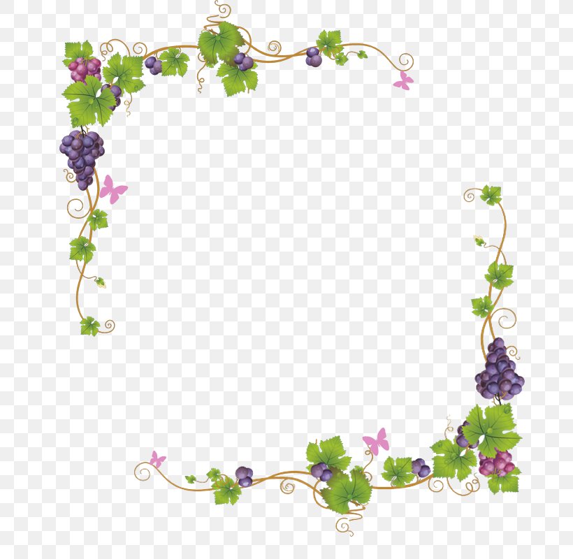 Grape Auglis Vine, PNG, 800x800px, Grape, Auglis, Border, Branch, Flora Download Free