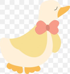 Cartoon Duck - Cartoon Illustration PNG