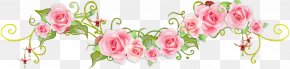Flower - Vintage Roses: Beautiful Varieties For Home And Garden Flower Floral Design Clip Art PNG