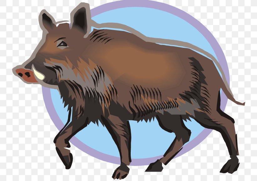 Wild Boar Common Warthog Clip Art, PNG, 750x579px, Wild Boar, Boar Hunting, Cattle Like Mammal, Common Warthog, Fauna Download Free
