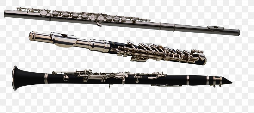 Clarinet Family Gun Barrel Piccolo Flageolet, PNG, 3000x1333px, Clarinet Family, Clarinet, Flageolet, Gun Barrel, Musical Instrument Download Free