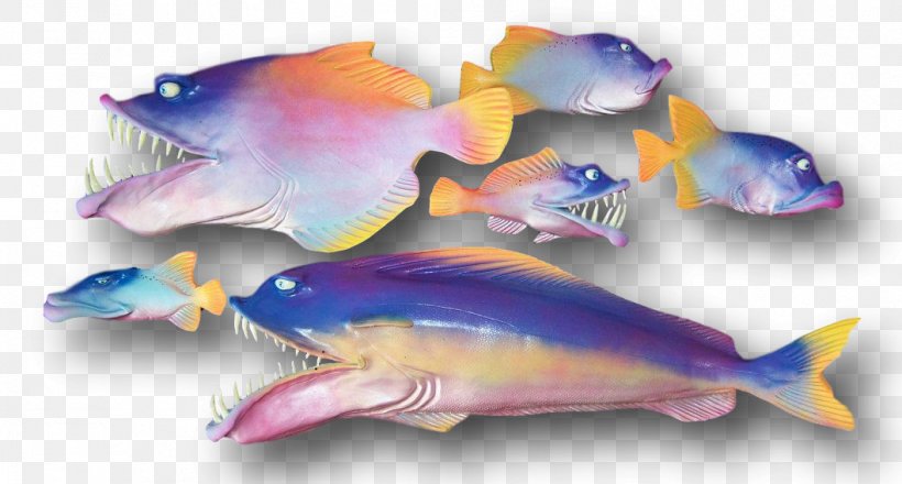 Marine Biology Marine Mammal Fauna Pink M, PNG, 1058x568px, Marine Biology, Biology, Fauna, Fish, Mammal Download Free