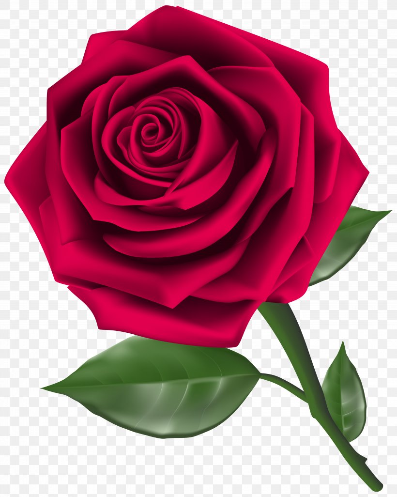 Rose Flower Red Clip Art, PNG, 5001x6261px, Rose, Blue Rose, China Rose, Cut Flowers, Floribunda Download Free