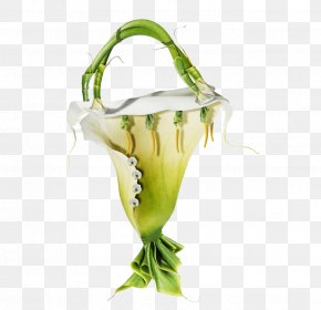 Lily Blue - Shoe Fleur: A Footwear Fantasy Photographer Photography Art Sculpture PNG
