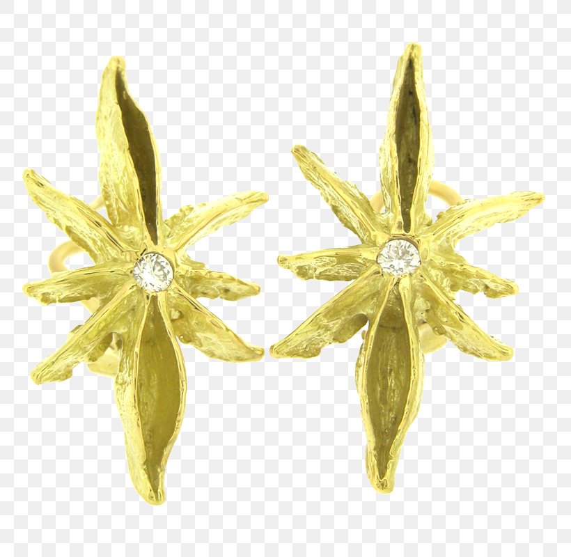 Earring Body Jewellery Gold Diamond, PNG, 800x800px, Earring, Body Jewellery, Body Jewelry, Diamond, Earrings Download Free