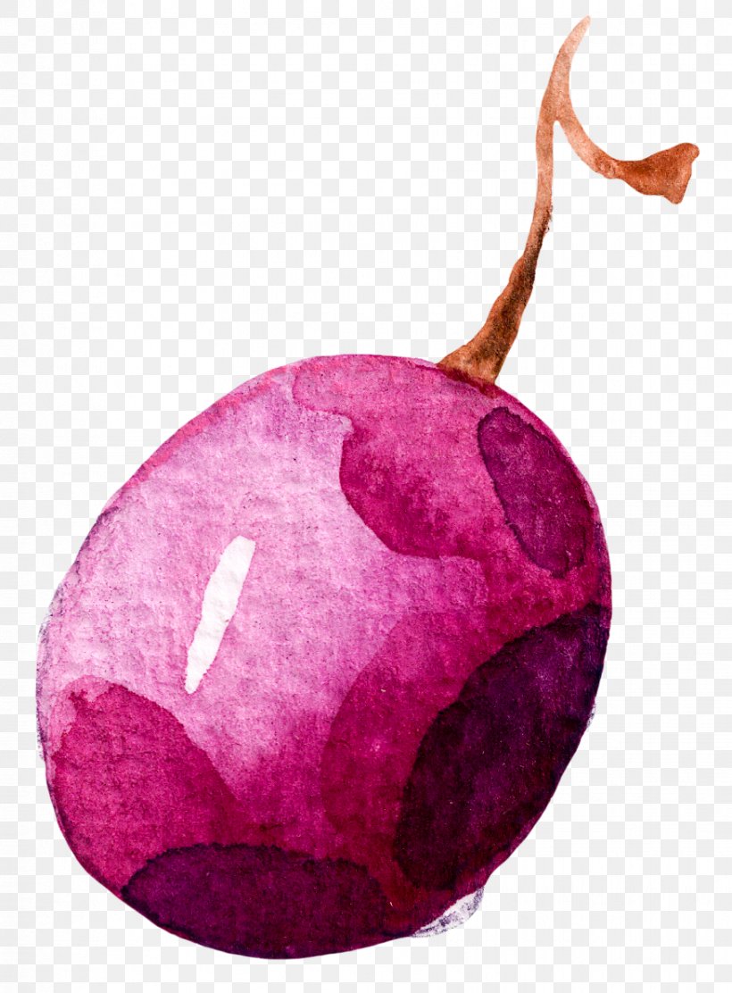 Fruit Grape Download Clip Art, PNG, 876x1188px, Fruit, Auglis, Button, Food, Google Images Download Free