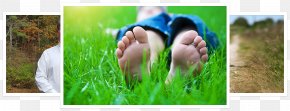 Foot Care - Lawn Foot Nail Therapy Fungus PNG