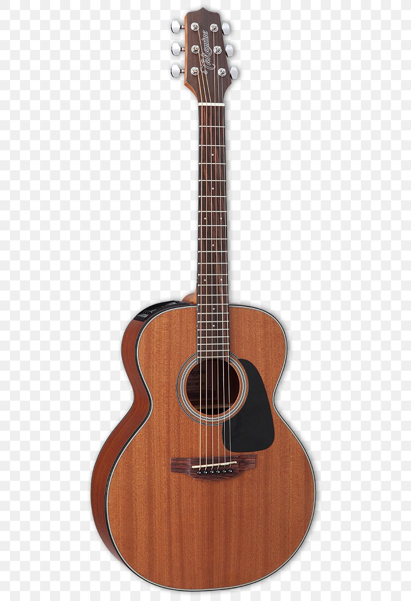 Twelve-string Guitar Takamine Guitars Acoustic-electric Guitar Acoustic Guitar, PNG, 495x1200px, Watercolor, Cartoon, Flower, Frame, Heart Download Free