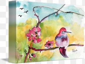 Hummingbird Watercolor - Watercolor Painting Oil Paint Art Drawing PNG