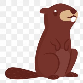 Beaver - Beaver Illustration Image Cartoon Drawing PNG