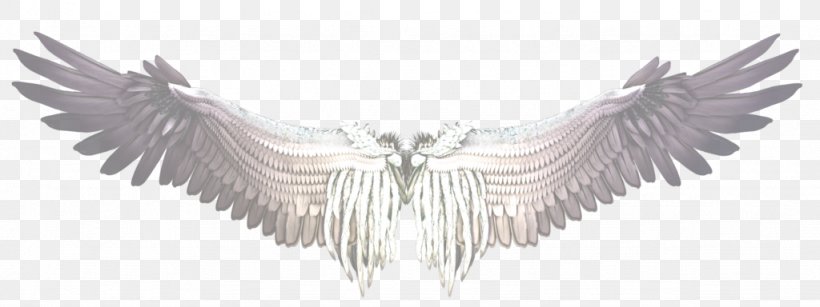 Buffalo Wing Castiel Bird, PNG, 1024x384px, Wing, Angel, Angel Wing, Beak, Bird Download Free