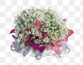Magnolia Bouquet - Galanthus Nivalis Primrose Flower Bouquet Spring PNG