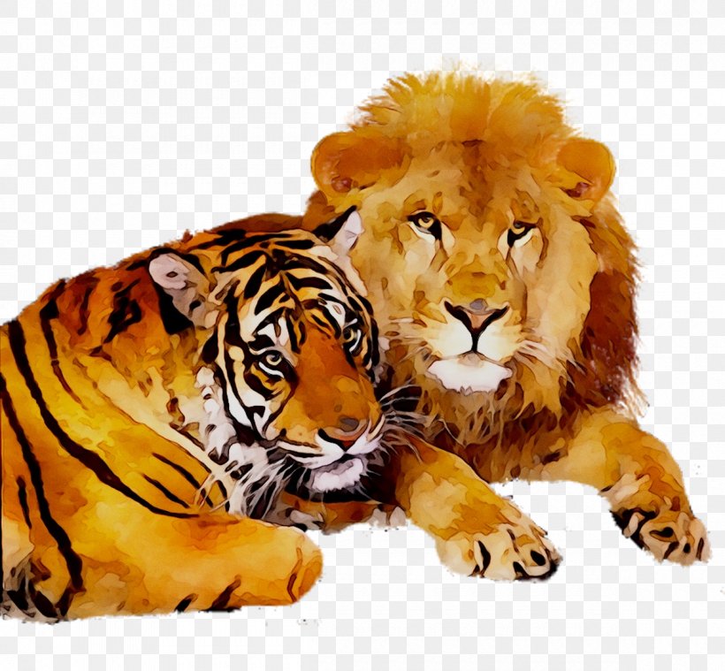 Tiger Lion Animal Wolf Canidae, PNG, 1200x1111px, Tiger, Animal, Animal Figure, Bengal Tiger, Big Cats Download Free