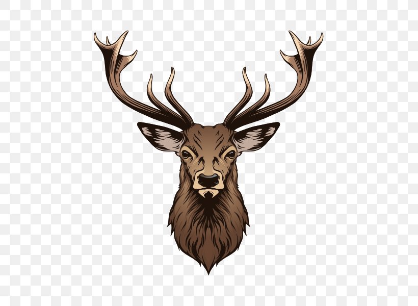 Deer Vector Graphics Illustration Stock Photography Royalty-free, PNG, 600x600px, Deer, Antler, Art, Drawing, Elk Download Free