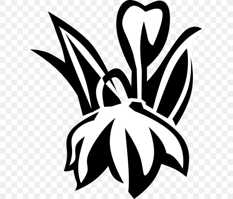 Flower Line Art, PNG, 609x700px, Schlumbergera, Black, Blackandwhite, Cactus, Emblem Download Free