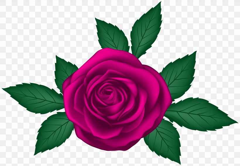 Garden Roses Centifolia Roses Clip Art, PNG, 8000x5551px, Centifolia Roses, Art, Blue Rose, Flora, Floral Design Download Free