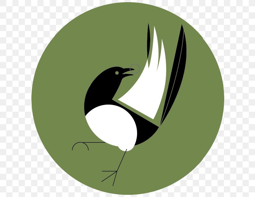 Eurasian Magpie, PNG, 635x635px, Eurasian Magpie, Art, Beak, Bird, Blackbilled Magpie Download Free