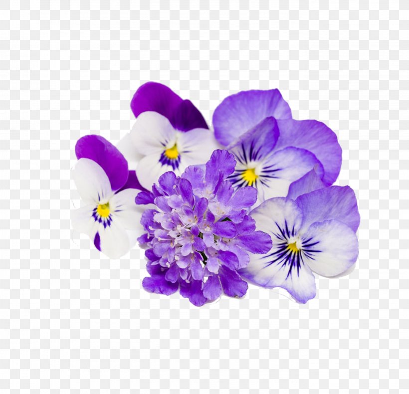 Flower Stock Photography, PNG, 2753x2653px, Flower, Floral Design, Flower Arranging, Flowering Plant, Hanakotoba Download Free