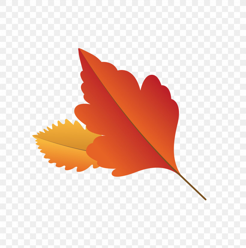 Maple Leaf, PNG, 2966x3000px, Autumn Leaf, Biology, Cartoon Leaf, Computer, Fall Leaf Download Free