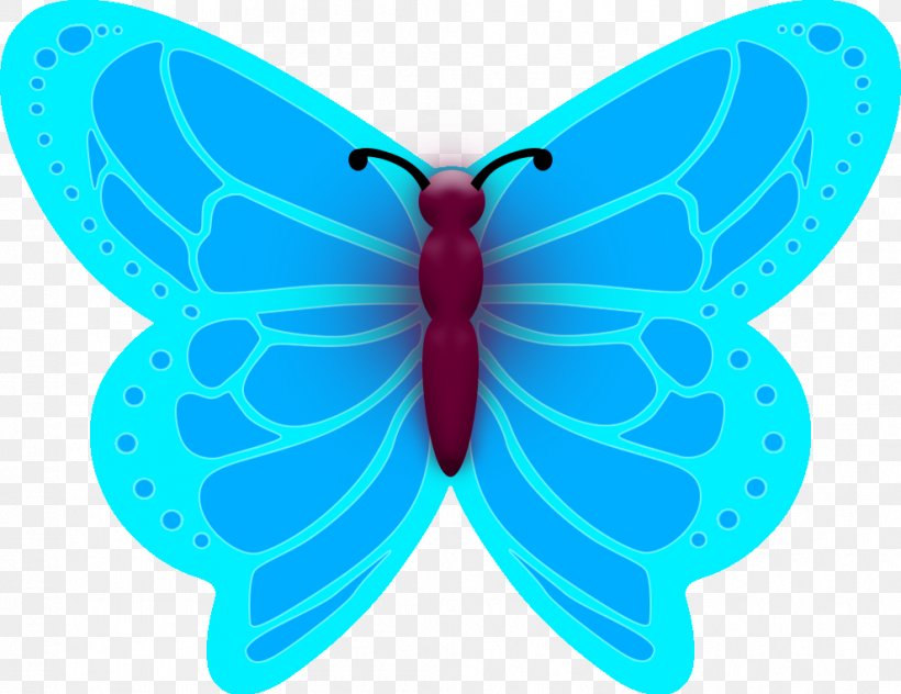 Moth Turquoise Symmetry Microsoft Azure, PNG, 990x764px, Moth, Arthropod, Azure, Butterfly, Electric Blue Download Free