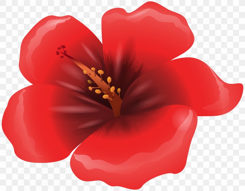 Poppy Flowers Red Clip Art, PNG, 6250x4869px, Flower, Drawing, Flowering Plant, Herbaceous Plant, Mallow Family Download Free