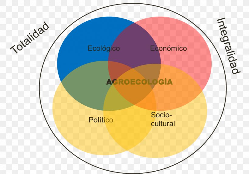 Agroecology Graphic Design Social Movement, PNG, 1274x893px, Agroecology, Area, Diagram, Dimension, Ecology Download Free