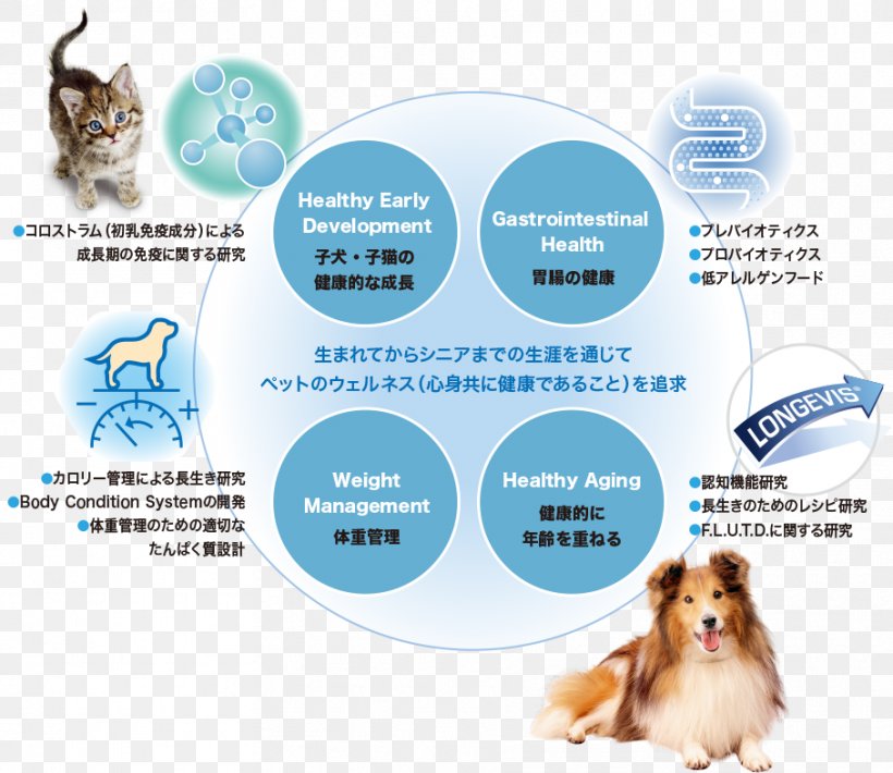 Dog Brand Font, PNG, 908x787px, Dog, Advertising, Brand, Carnivoran, Dog Like Mammal Download Free