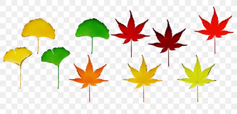 Maple Leaf, PNG, 960x464px, Watercolor, Black Maple, Leaf, Maple Leaf, Paint Download Free