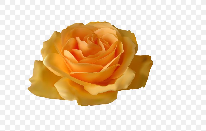 Rose Yellow Flower Clip Art, PNG, 723x525px, Rose, Color, Flower, Garden Roses, Orange Download Free