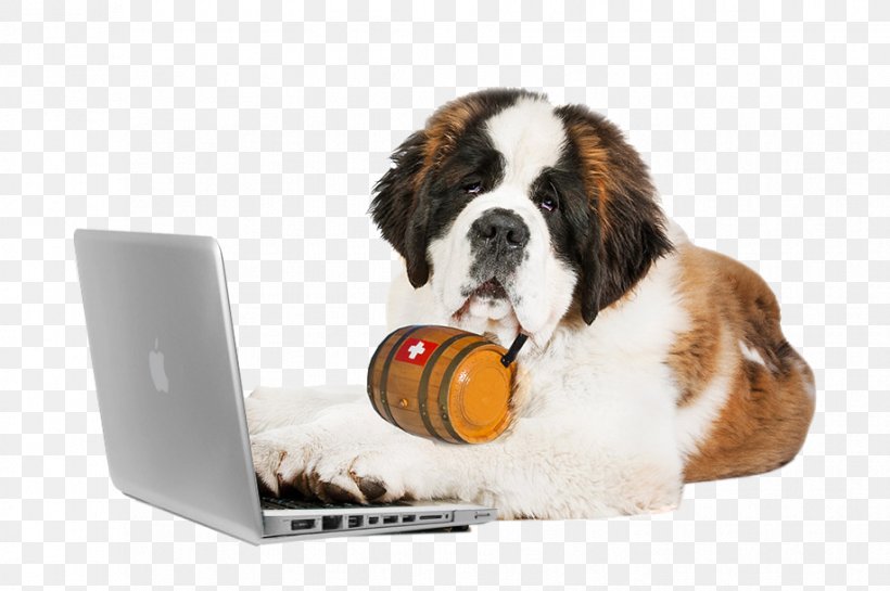 St. Bernard Puppy Bernese Mountain Dog Cat Laptop, PNG, 917x610px, St Bernard, Bernese Mountain Dog, Carnivoran, Cat, Companion Dog Download Free