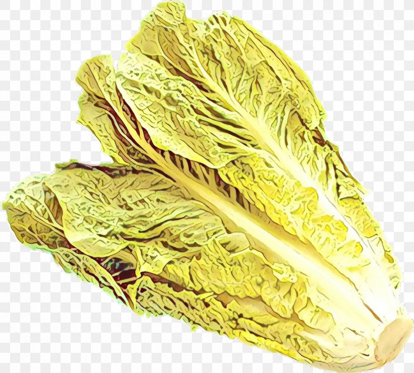 Chinese Cabbage Food Cabbage Plant Vegetable, PNG, 823x743px, Chinese Cabbage, Cabbage, Food, Leaf Vegetable, Plant Download Free