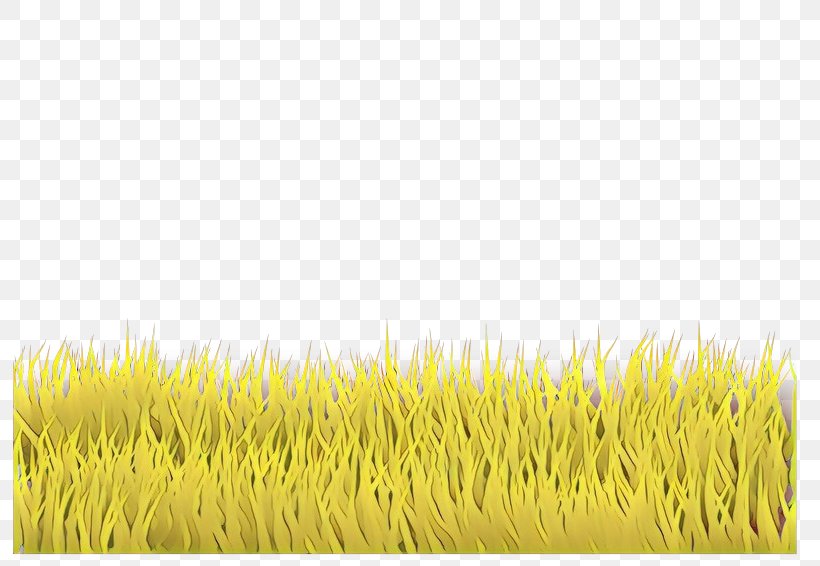 Grass Yellow Grass Family Plant, PNG, 800x566px, Cartoon, Grass, Grass Family, Plant, Yellow Download Free