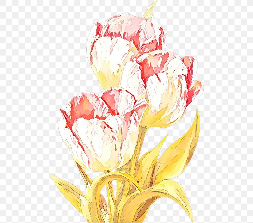 Watercolor Pink Flowers, PNG, 500x723px, Tulip, Cut Flowers, Floral Design, Flower, Flower Bouquet Download Free